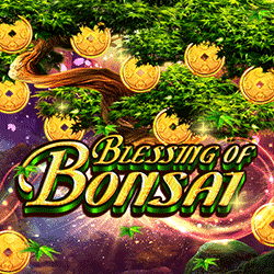PAWIN168 HOTD slot Blessing of Bonsai