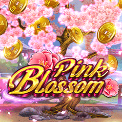 PAWIN168 HOTD slot Pink Blossom