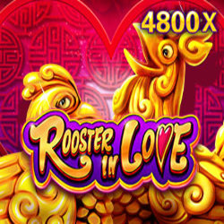 PAWIN168 JDB slot Rooster In Love