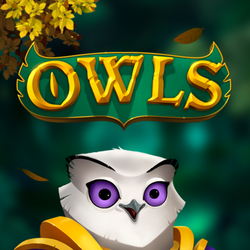 PAWIN168 NLM slot Owls
