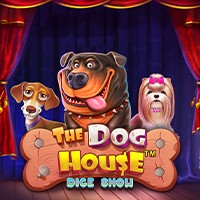 PAWIN168 PP slot The Dog House Dice Show™