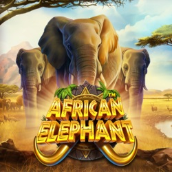 PAWIN168 PP slot African Elephant